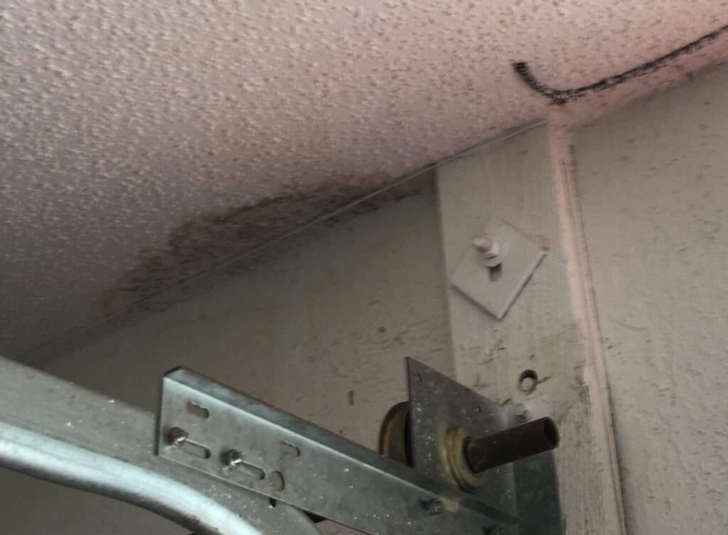 mold to ceilings after storm